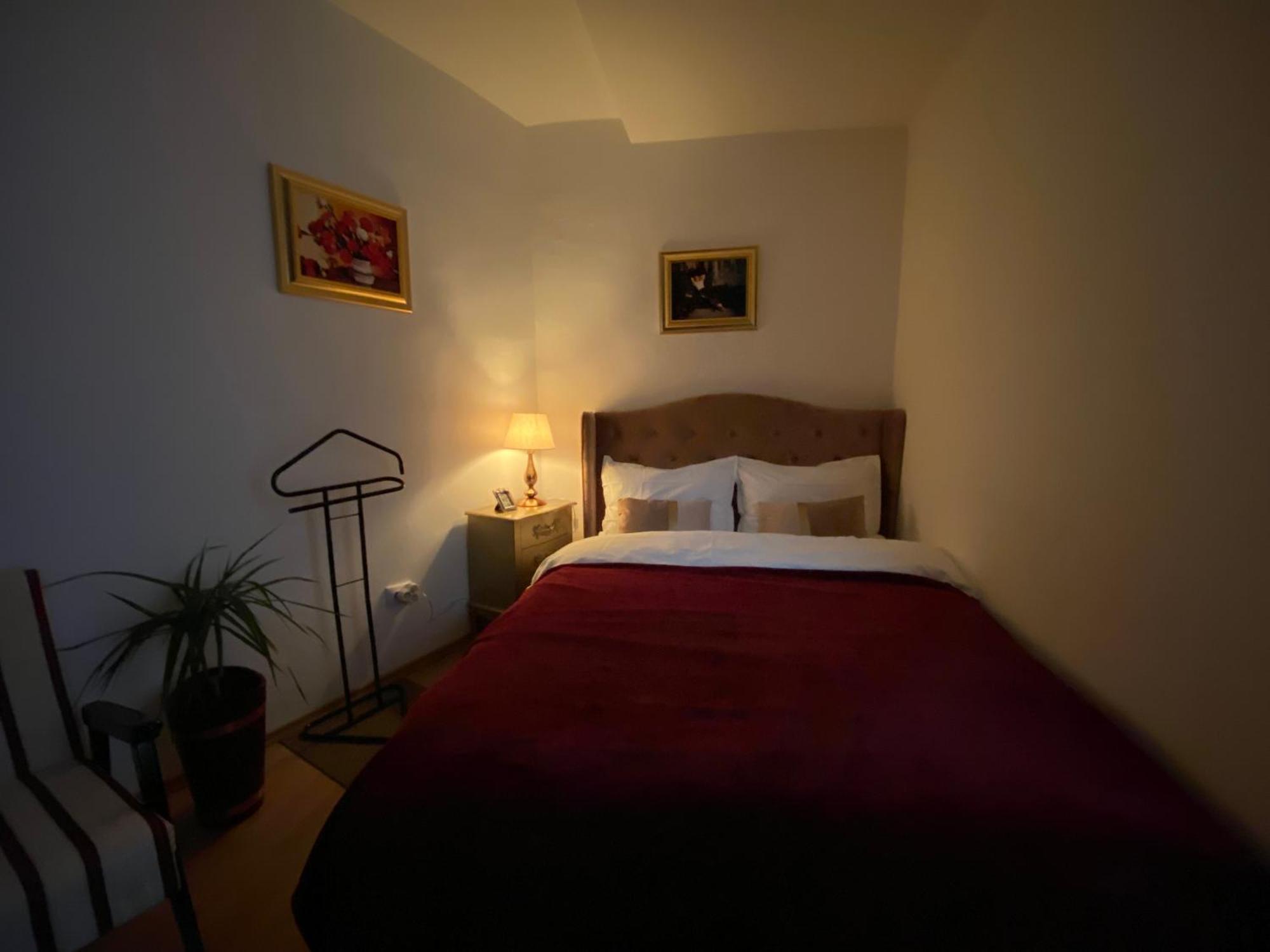 Studio Panoramic With Balcony And Parcul Unirii View Alba Iulia Exterior foto